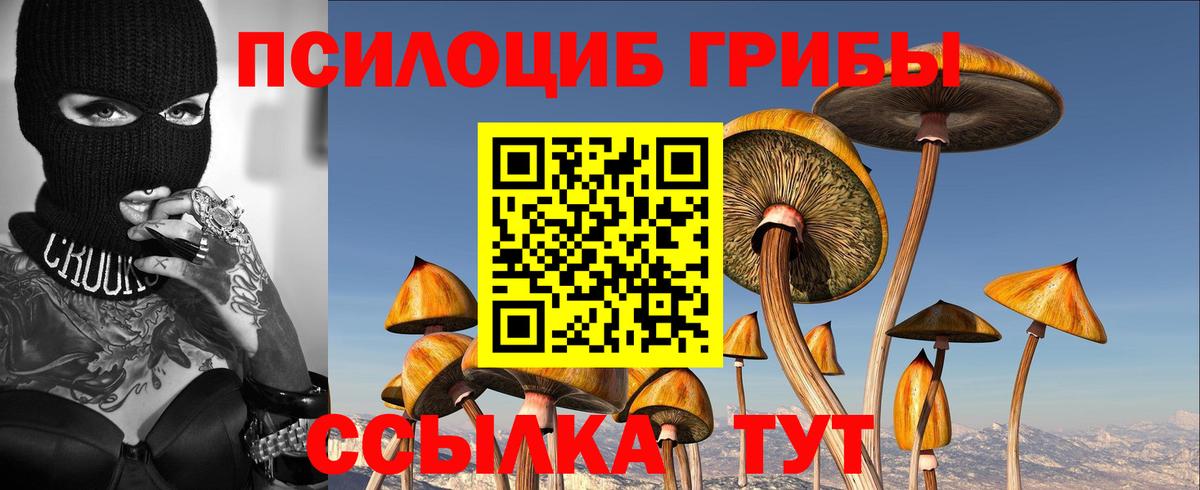 Псилоцибиновые грибы мухоморы Бахчисарай